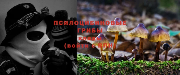 дмт Аркадак
