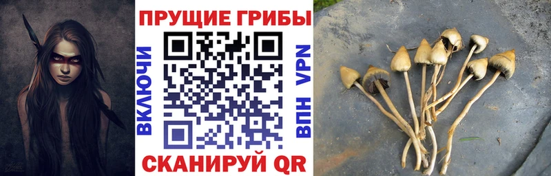 Галлюциногенные грибы мухоморы  что такое наркотик  Онега 
